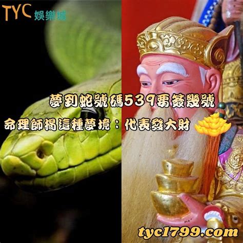 看到蛇要簽幾號|傳統夢境解析號碼對照表